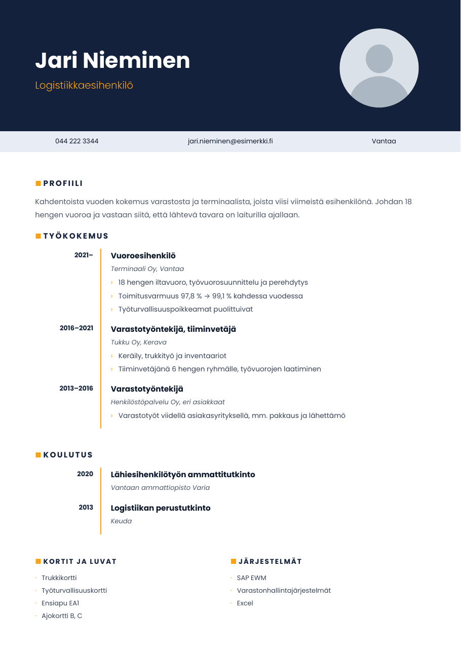 Revontuli-CV-pohja (Tiivis yhden sivun CV), esikatselu